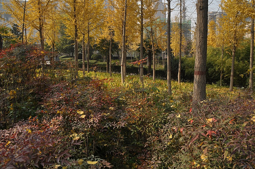 DSC_0023_conew1.jpg