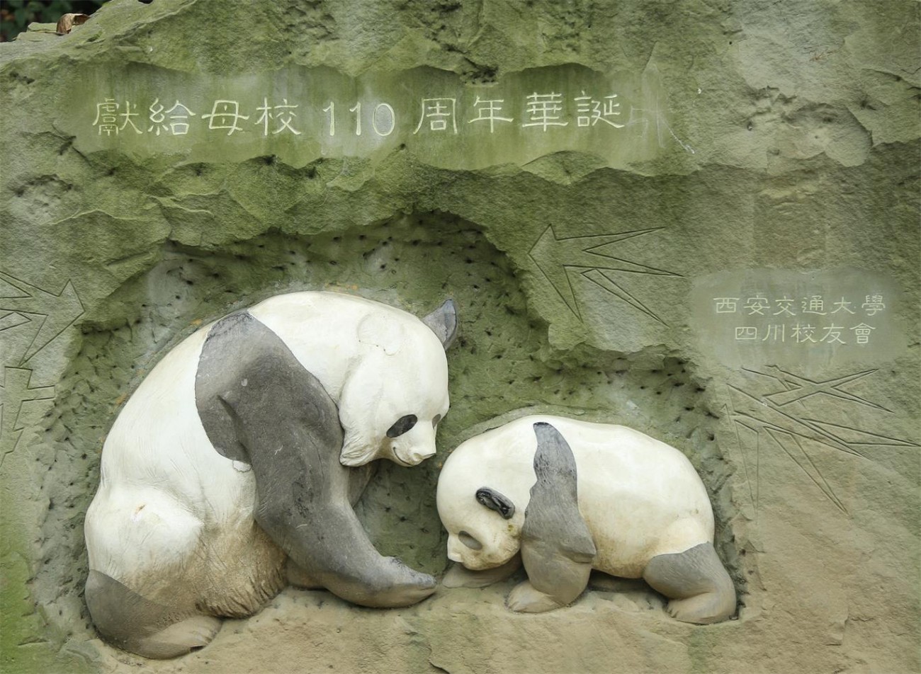 QD5A7369_2345看图王.JPG