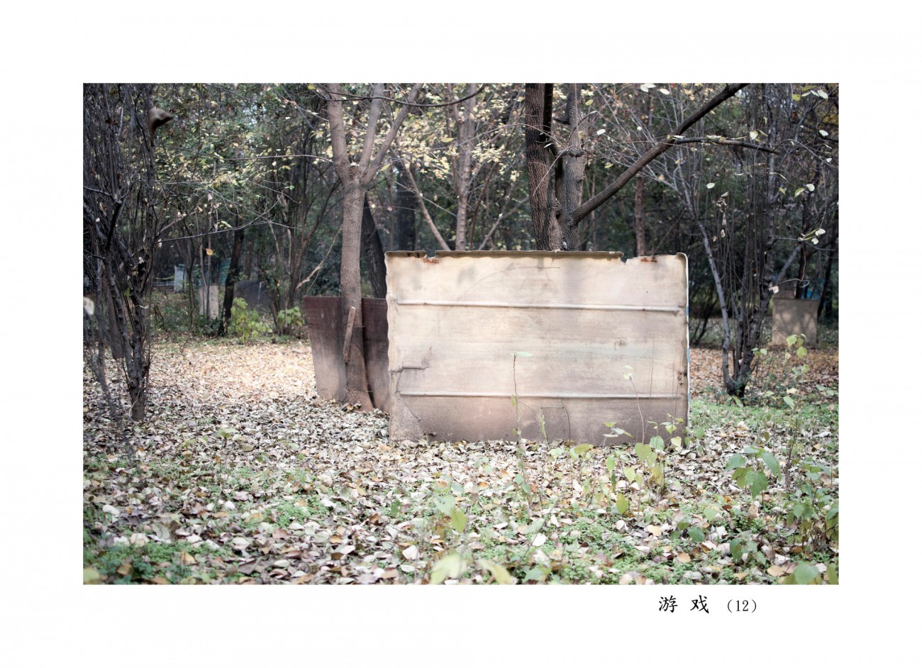 01.jpg