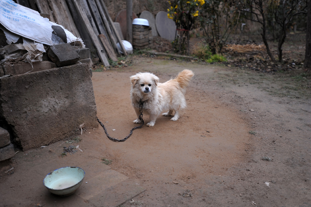 冯原民居 136.jpg