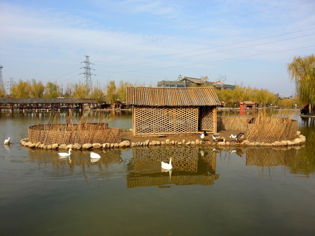 20141112_140250_副本.jpg