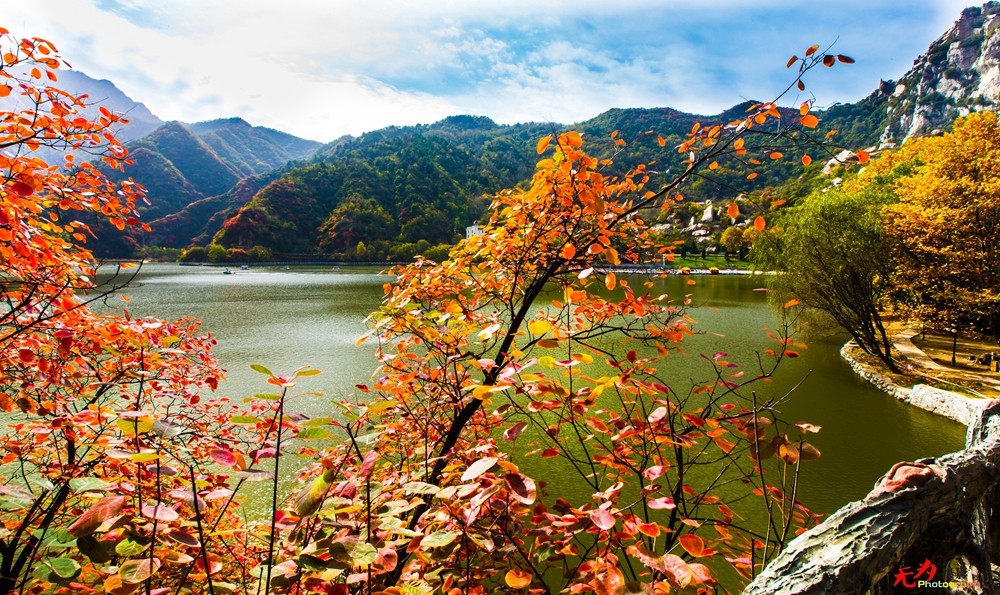 秋日翠华山 (20).jpg