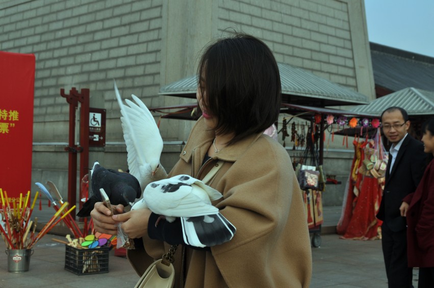 DSC_0121_conew1.jpg