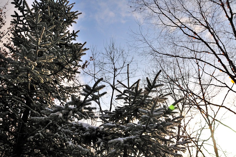 DSC_8721.JPG