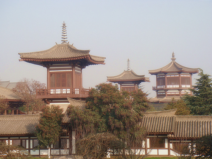 DSC07624_副本.jpg