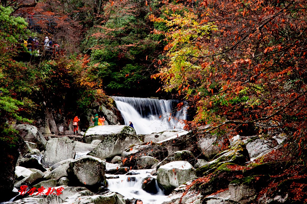 _DSC3864.jpg