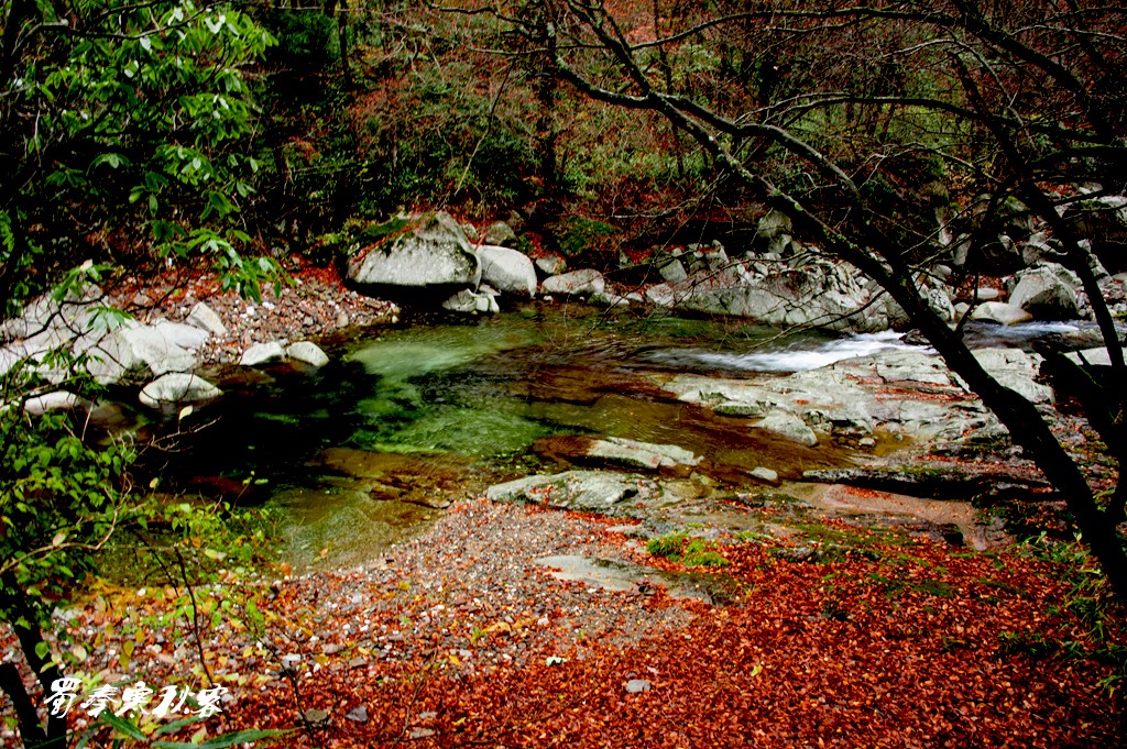 _DSC3943.jpg