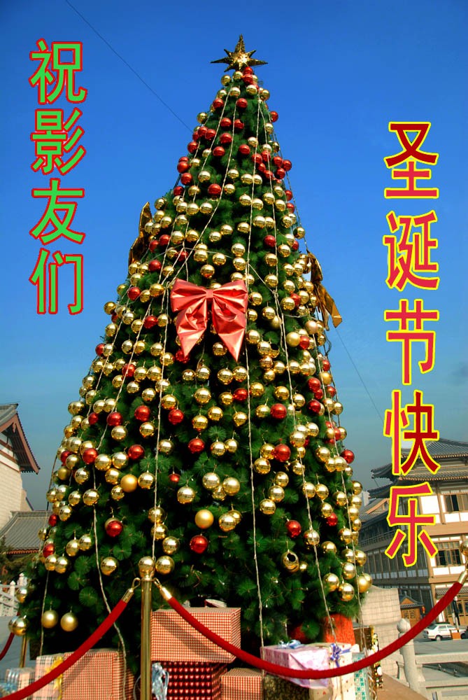 圣诞节 (6).jpg