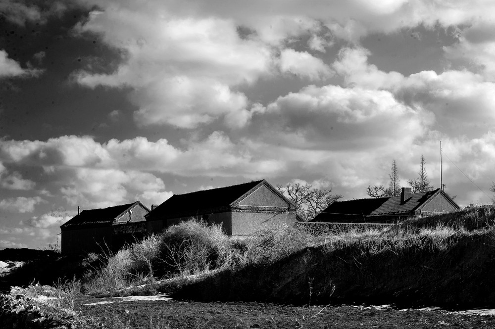 DSC_6260.jpg