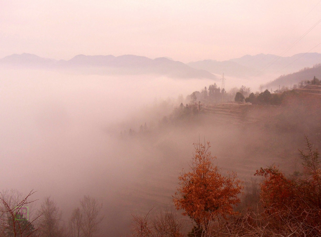 SDC10413_副本.JPG
