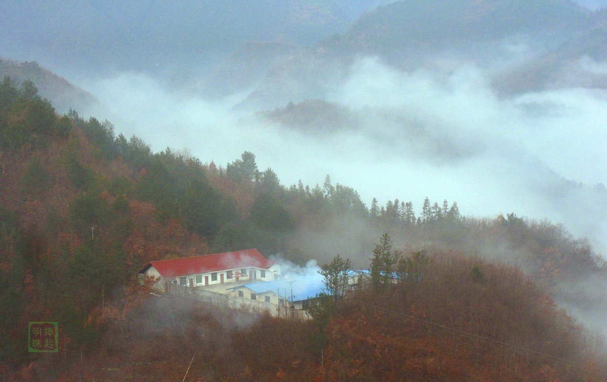 SDC10440_副本1_副本.JPG