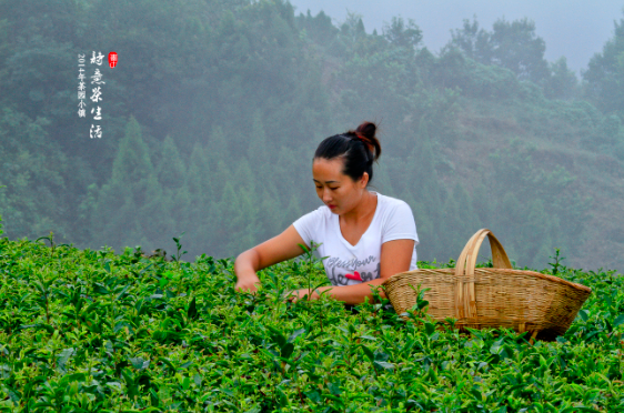 屏幕快照 2014-11-22 下午7.11.12.png