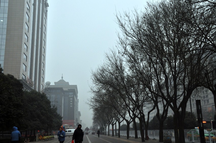 DSC_0008_conew1.jpg