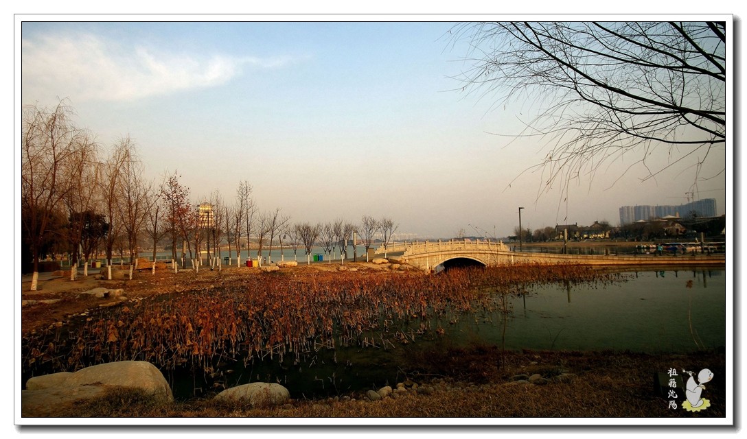 IMGP9776.jpg