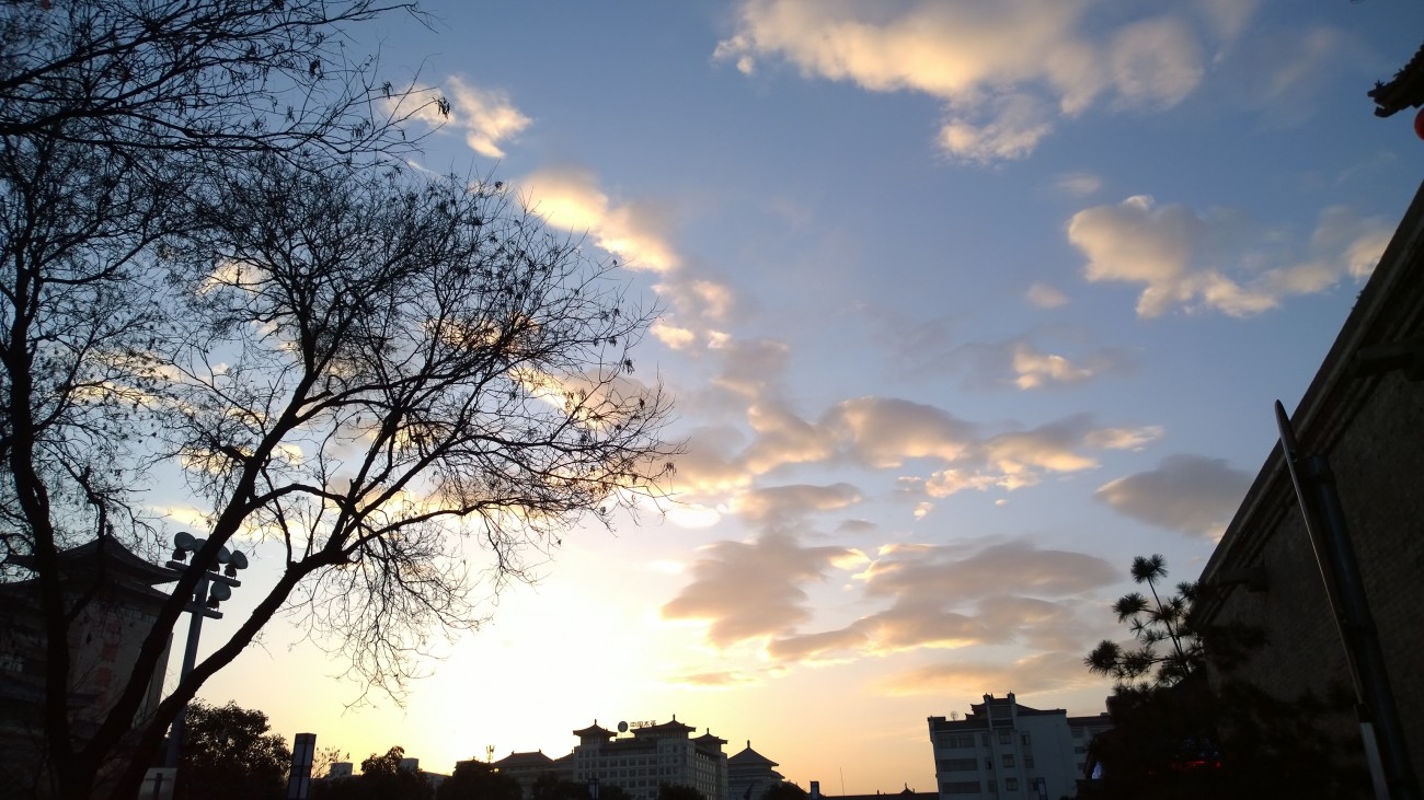 WP_20150120_17_48_41_Pro.jpg