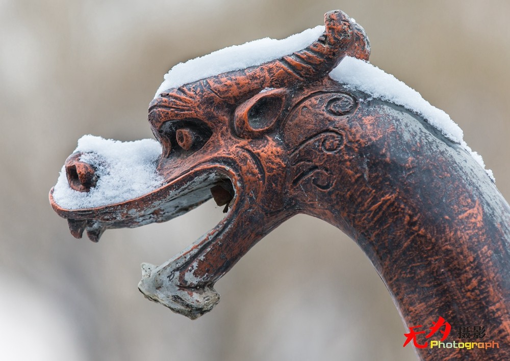 2015年西安第一场雪 (15).jpg