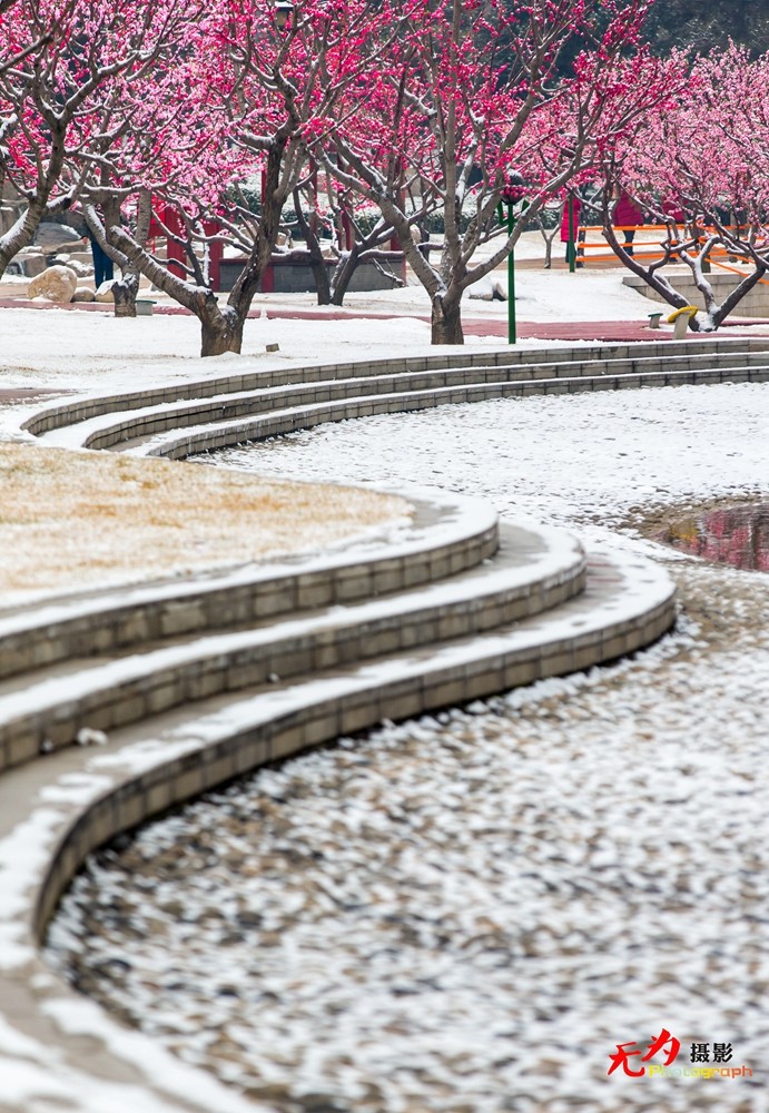2015年西安第一场雪 (34).jpg