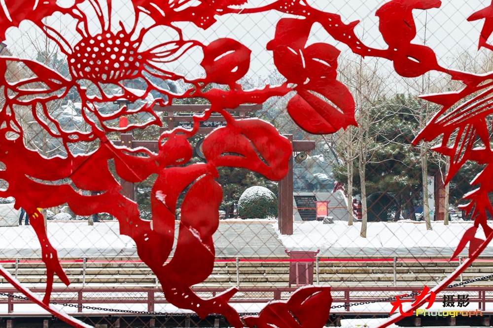 2015年西安第一场雪 (40).jpg