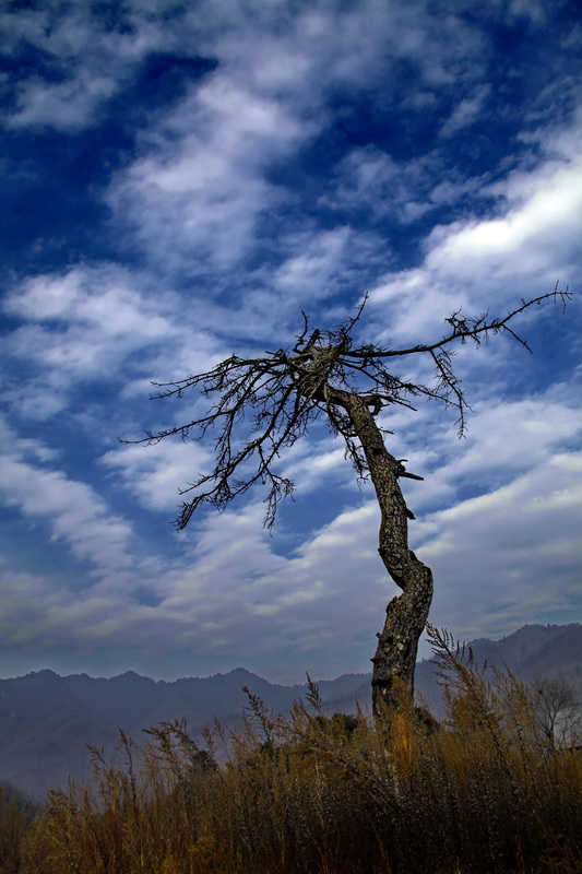 _MG_6375.JPG