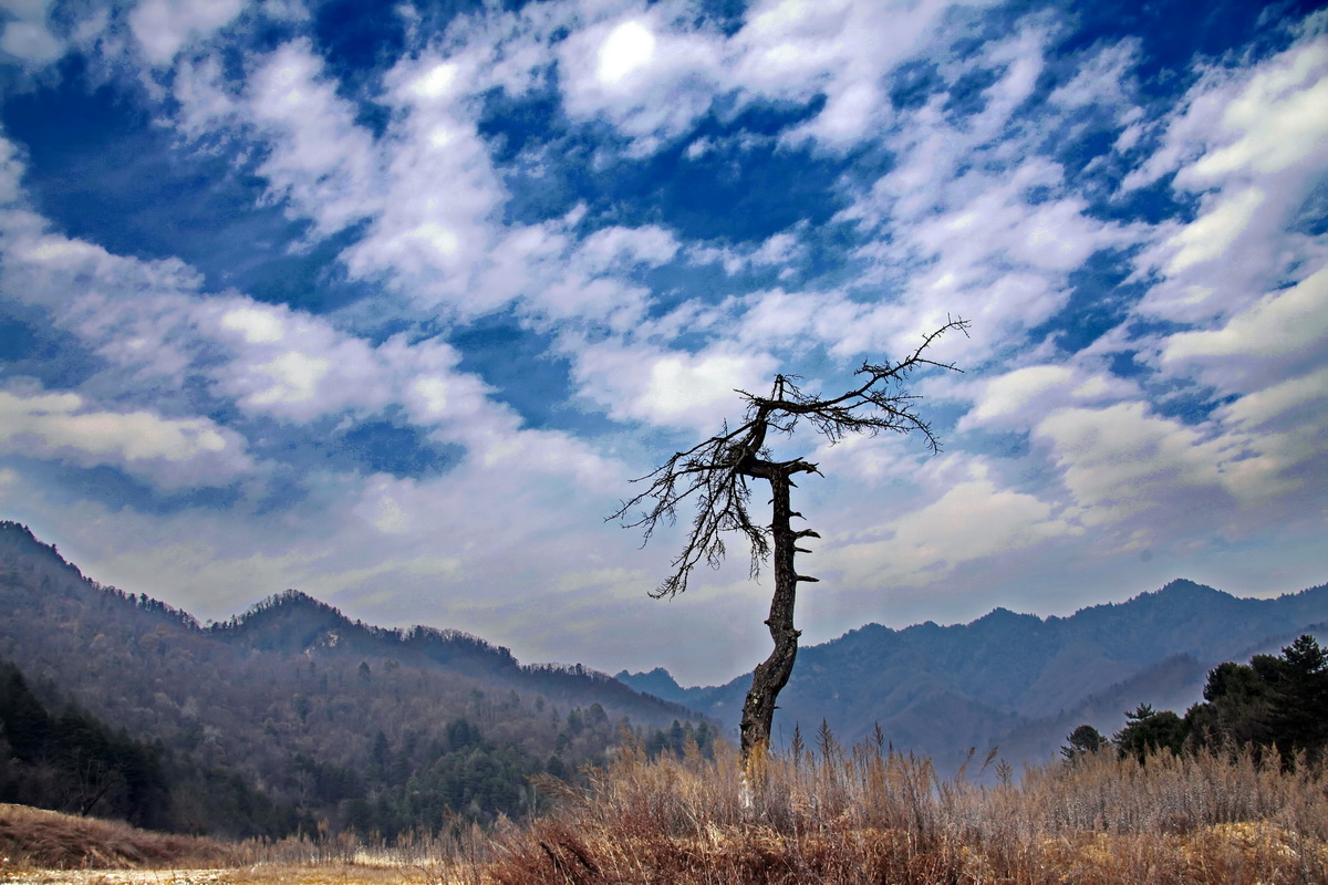 _MG_6382.JPG
