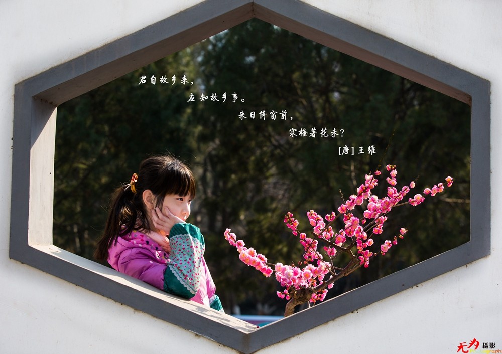 腊梅迎春 (4).jpg