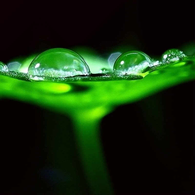 image008.jpg