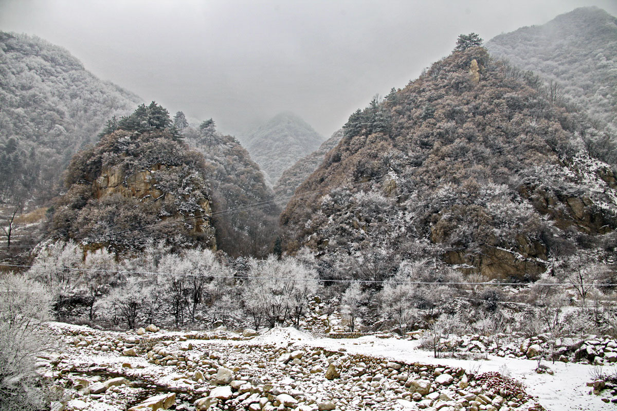 _MG_6035.JPG