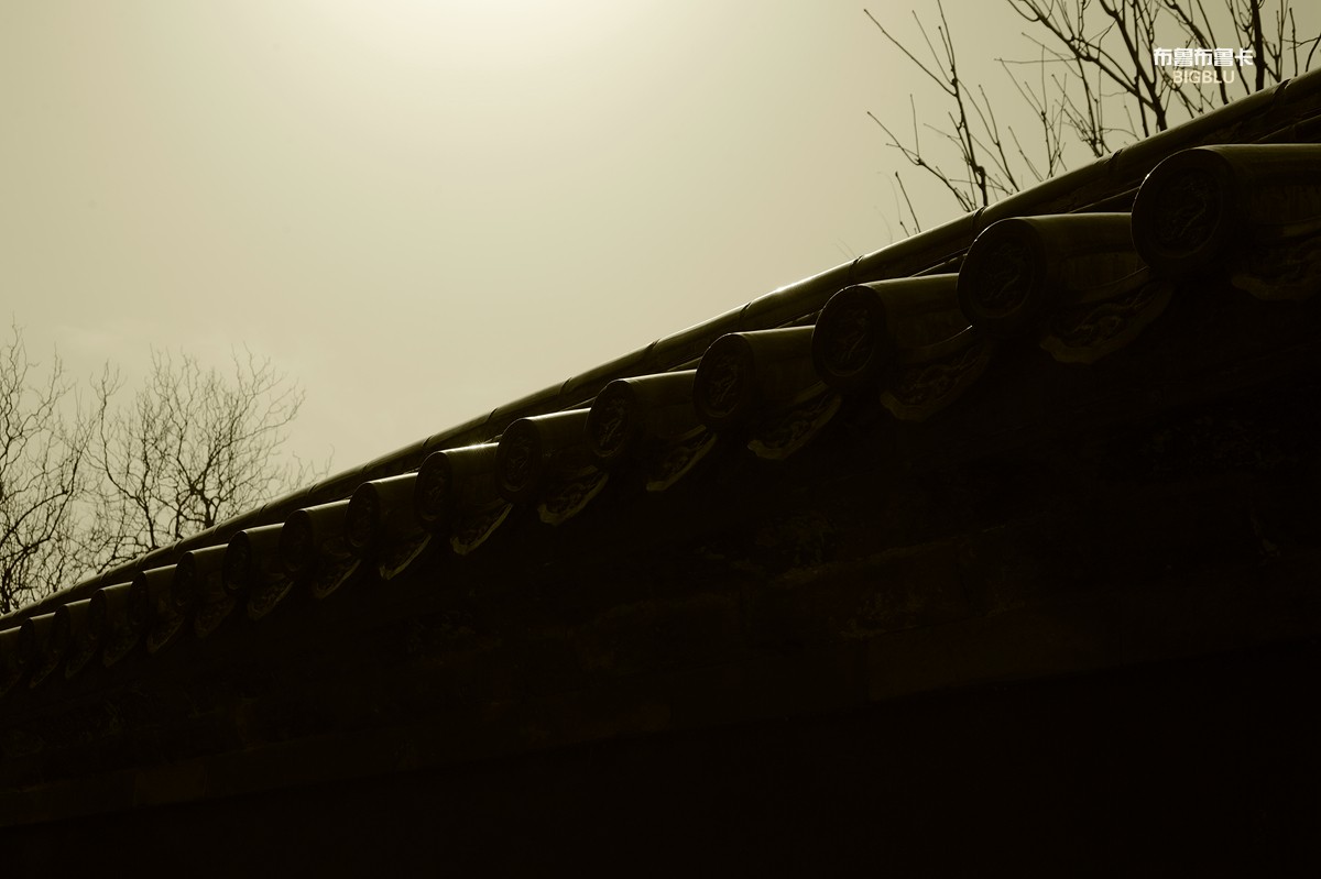 _DSC9325.jpg