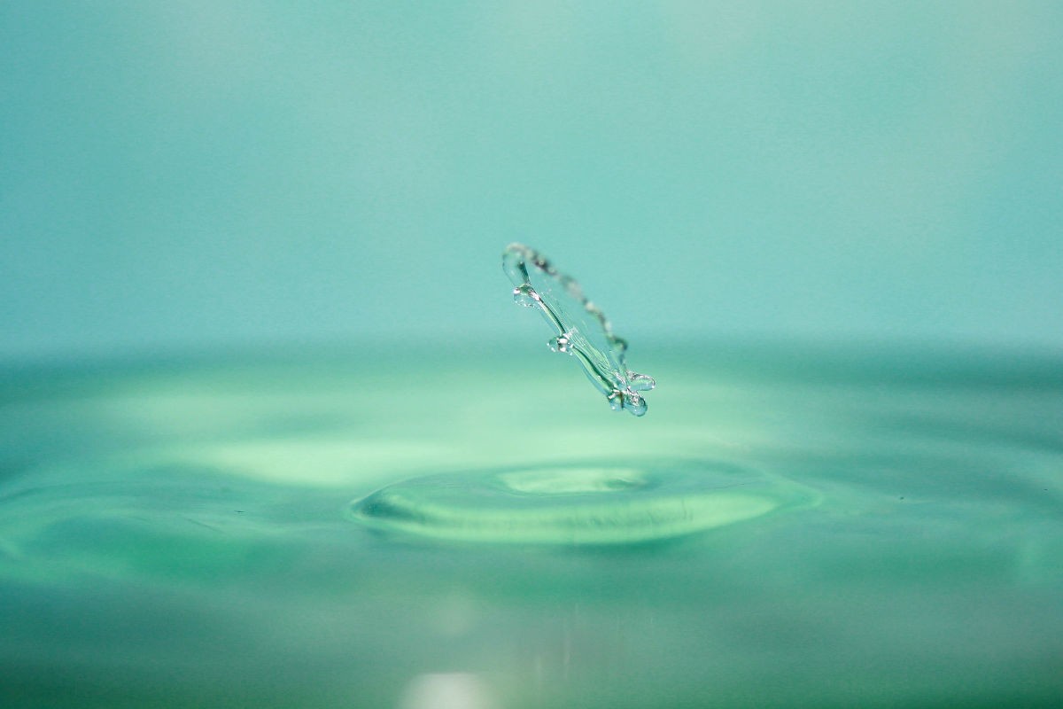 fe014a90f603738dc0b26f13b21bb051f819ec03 (1).jpg