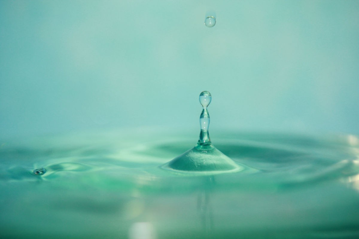 7edbb6fd5266d01649e3fd19962bd40735fa350c (1).jpg