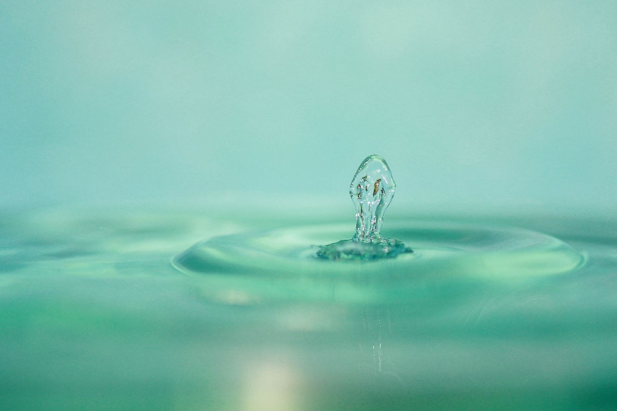 b103738da9773912d8dee650f9198618367ae203 (1).jpg