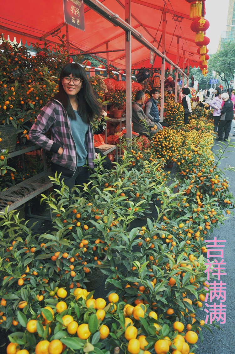花市 (9)_副本.jpg