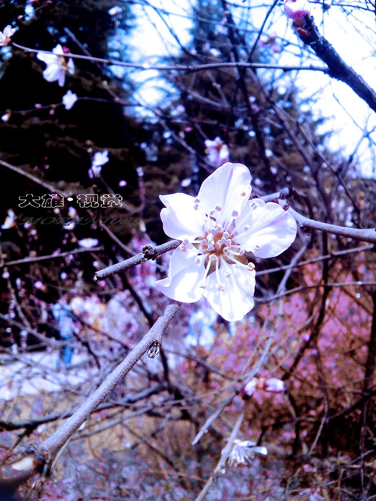 CYMERA_20150321_135943.jpg