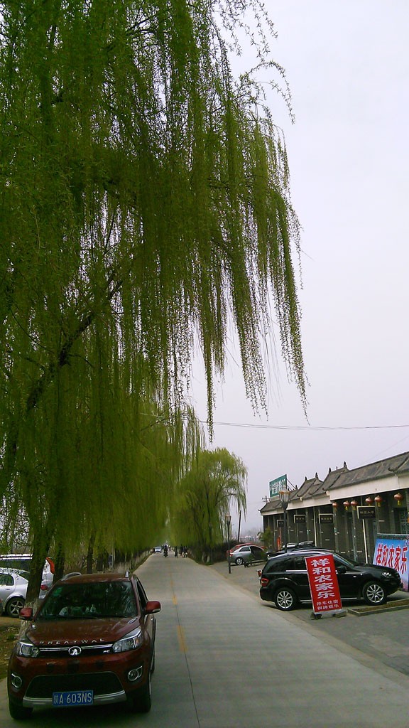 IMG_20150322_142559_1副本.jpg