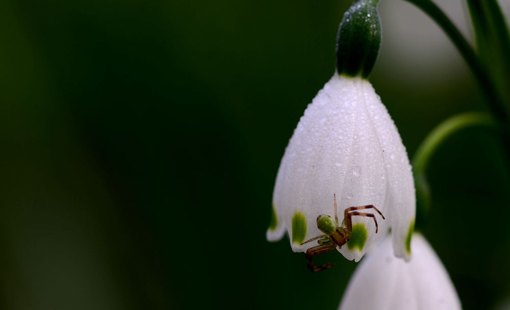 副本 - 0831_79410831.JPG