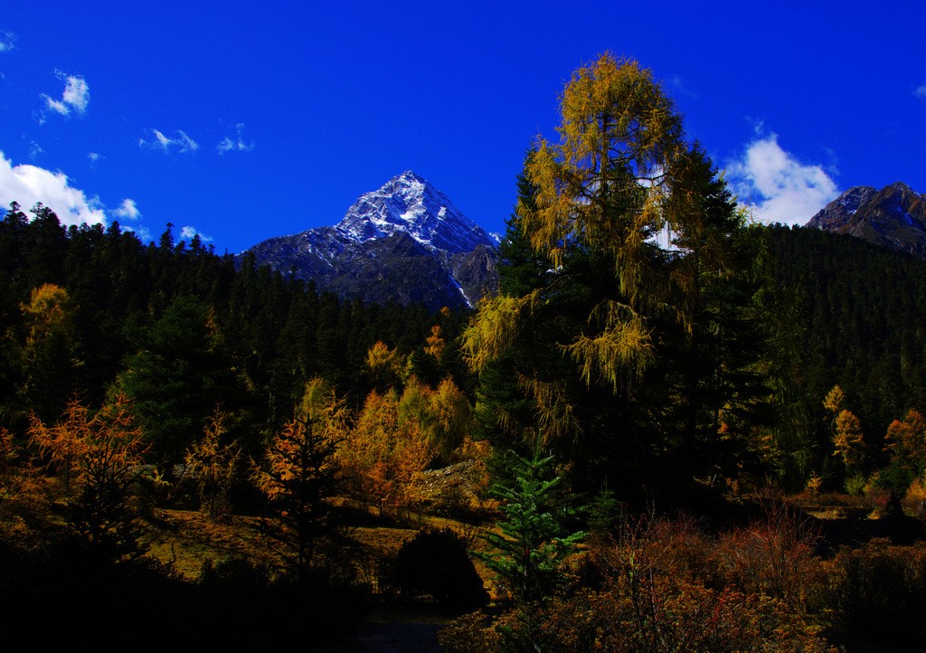 《多彩神山,杜基拉初》