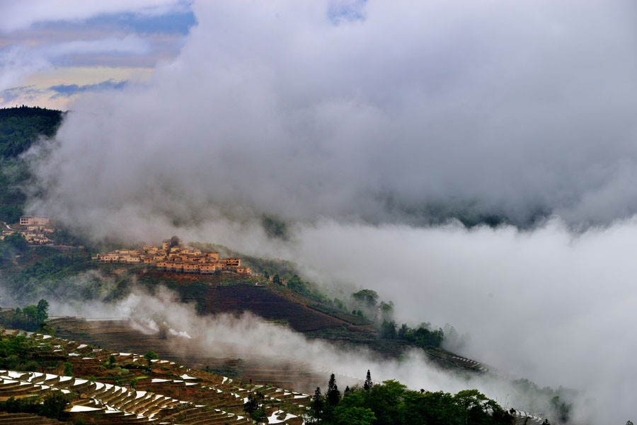 DSC_1764.jpg