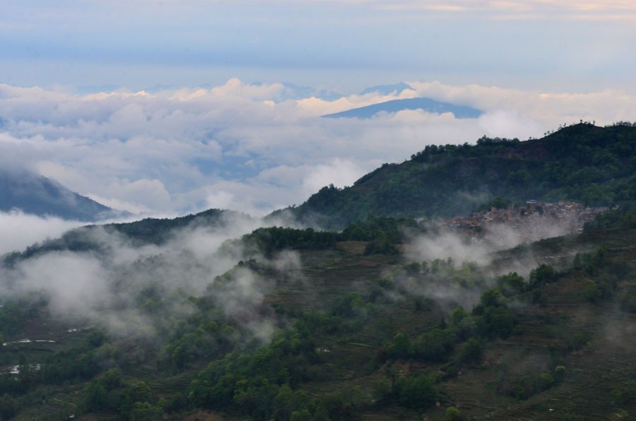 DSC_4989.jpg
