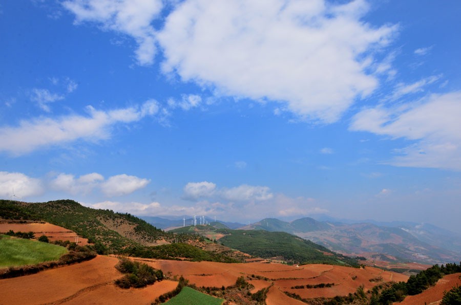 DSC_4781.jpg