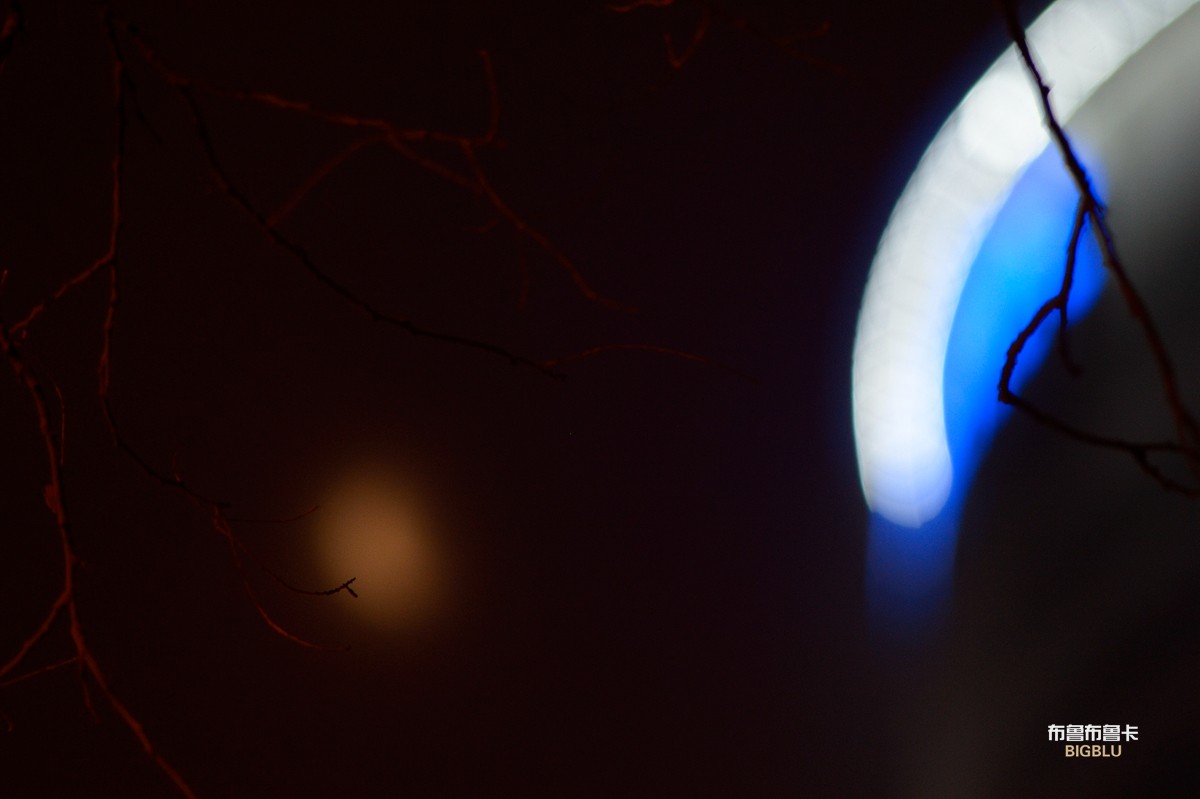 _DSC9735.jpg