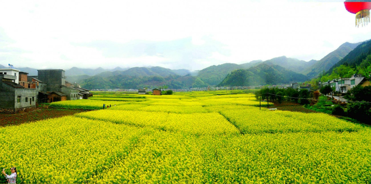 SDC14042_副本.JPG