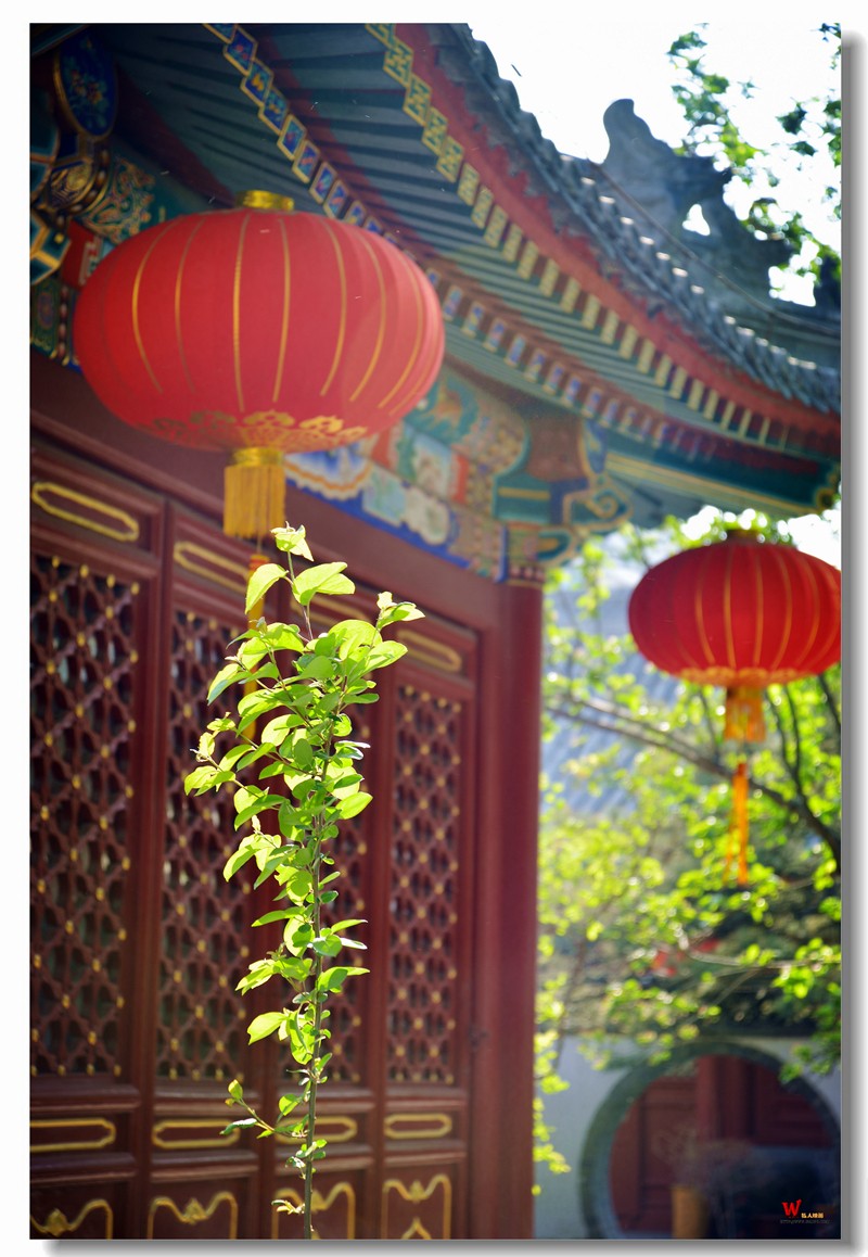 DSC_9580_副本.jpg