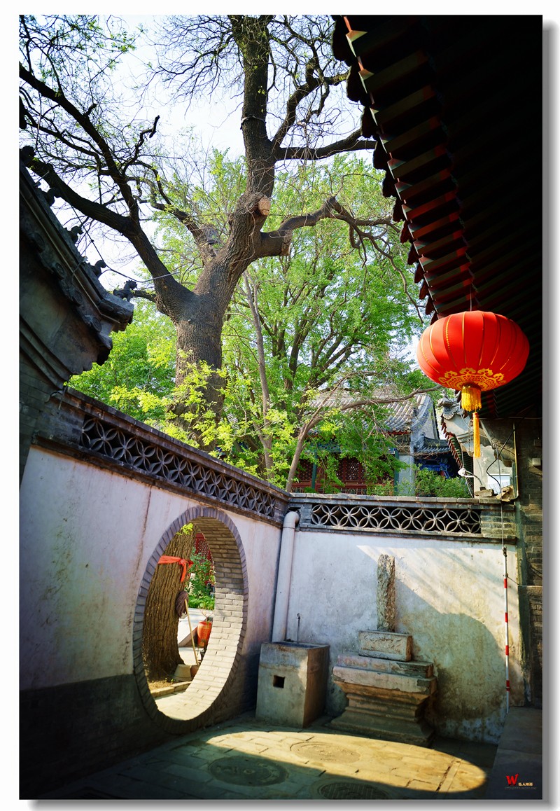 DSC_9585_副本.jpg