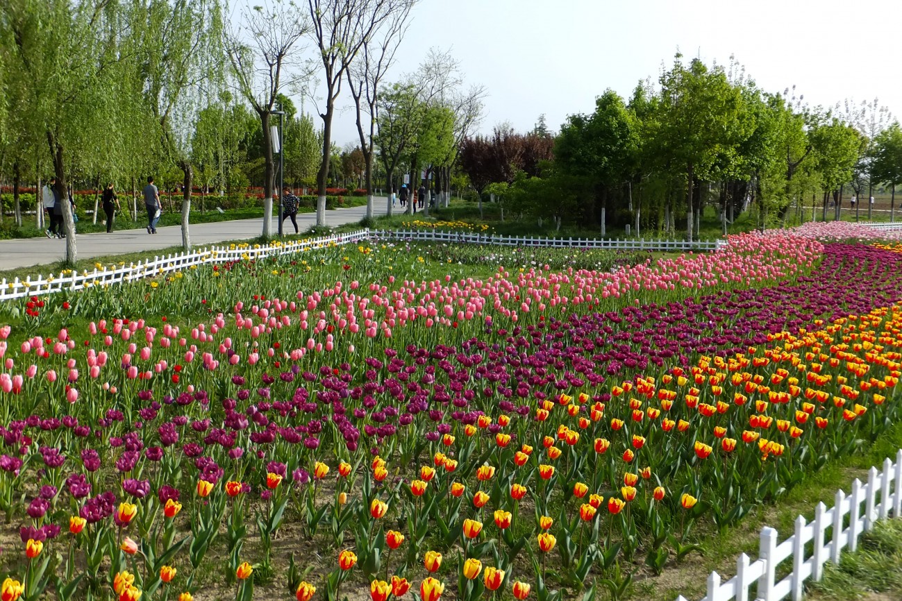 DSCF1642.JPG