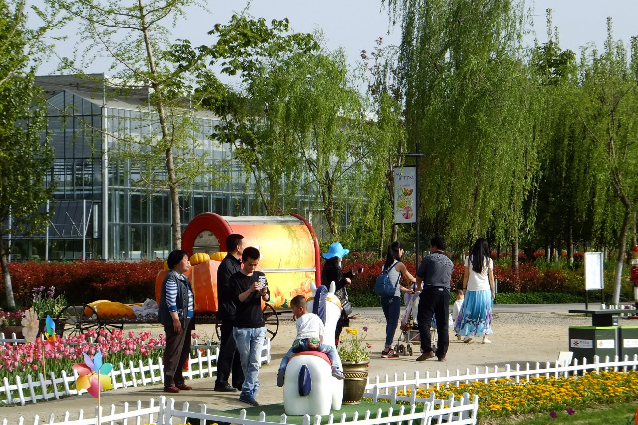 DSCF1633.JPG