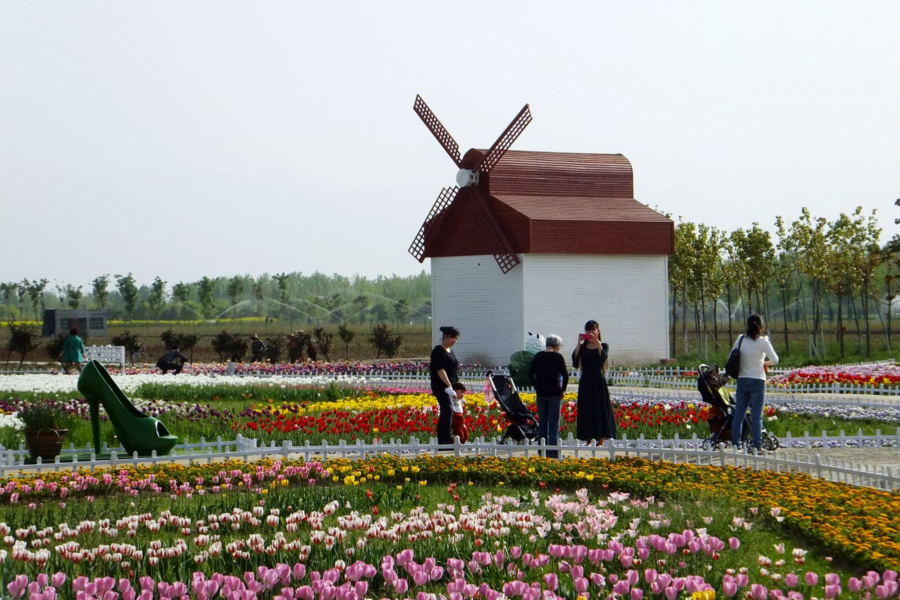 DSCF1635.JPG