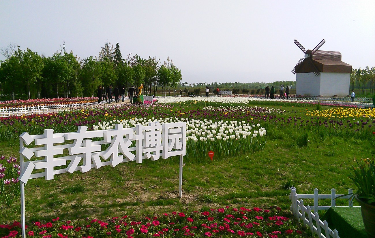 IMG_20150415_165010副本.jpg