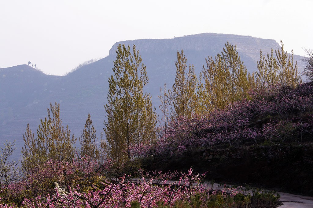 IMG_0167副本.jpg