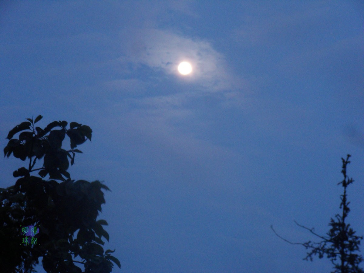 SDC15839_副本.JPG