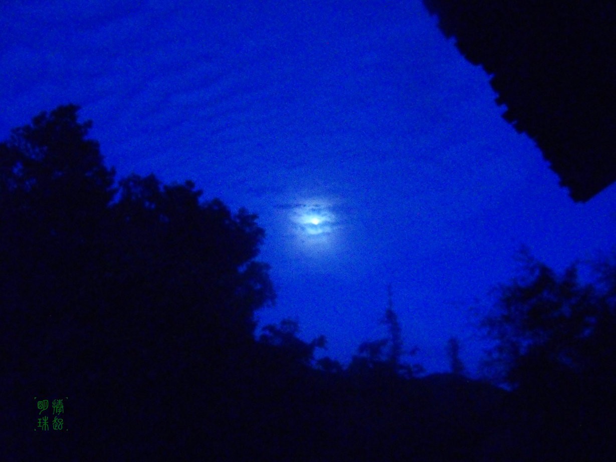 SDC15857_副本.JPG